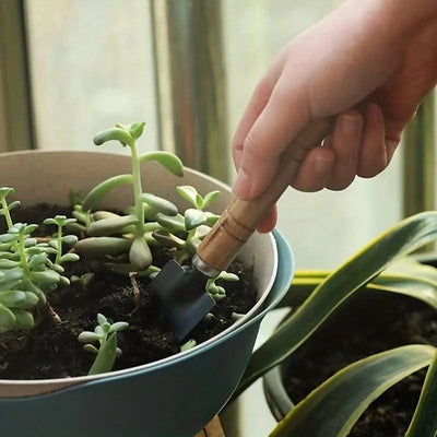 3Pcs/Set, Mini Garden Tool Set, Indoor, Small Plants, Cactus, Vegetables, Digging, Weeding, Flower Pot, Gardening Tools