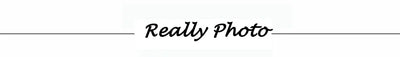 WAREBALL Sports Shorts For Women Cycling Jogging Fitness High Waist Booty Push Up Gym Shorts Female Tight Leggings Yoga Clothing
