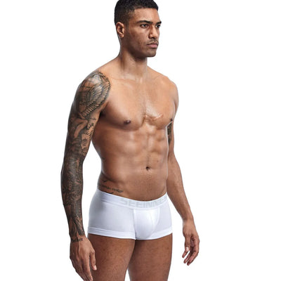 Mens Underwear Seeinner Boxers Shorts Cotton Cuecas Trunks Men's Boxer Homme Boxershorts Men Male Panties Ropa Interior Hombre