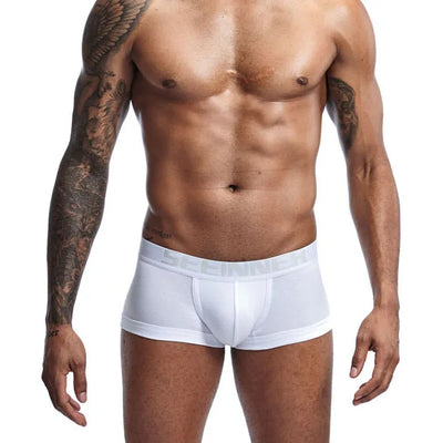 Mens Underwear Seeinner Boxers Shorts Cotton Cuecas Trunks Men's Boxer Homme Boxershorts Men Male Panties Ropa Interior Hombre