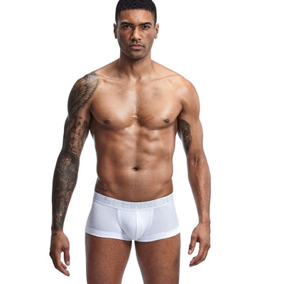Mens Underwear Seeinner Boxers Shorts Cotton Cuecas Trunks Men's Boxer Homme Boxershorts Men Male Panties Ropa Interior Hombre