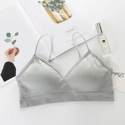 Women Sports Bras Fast Dry Elastic Padded