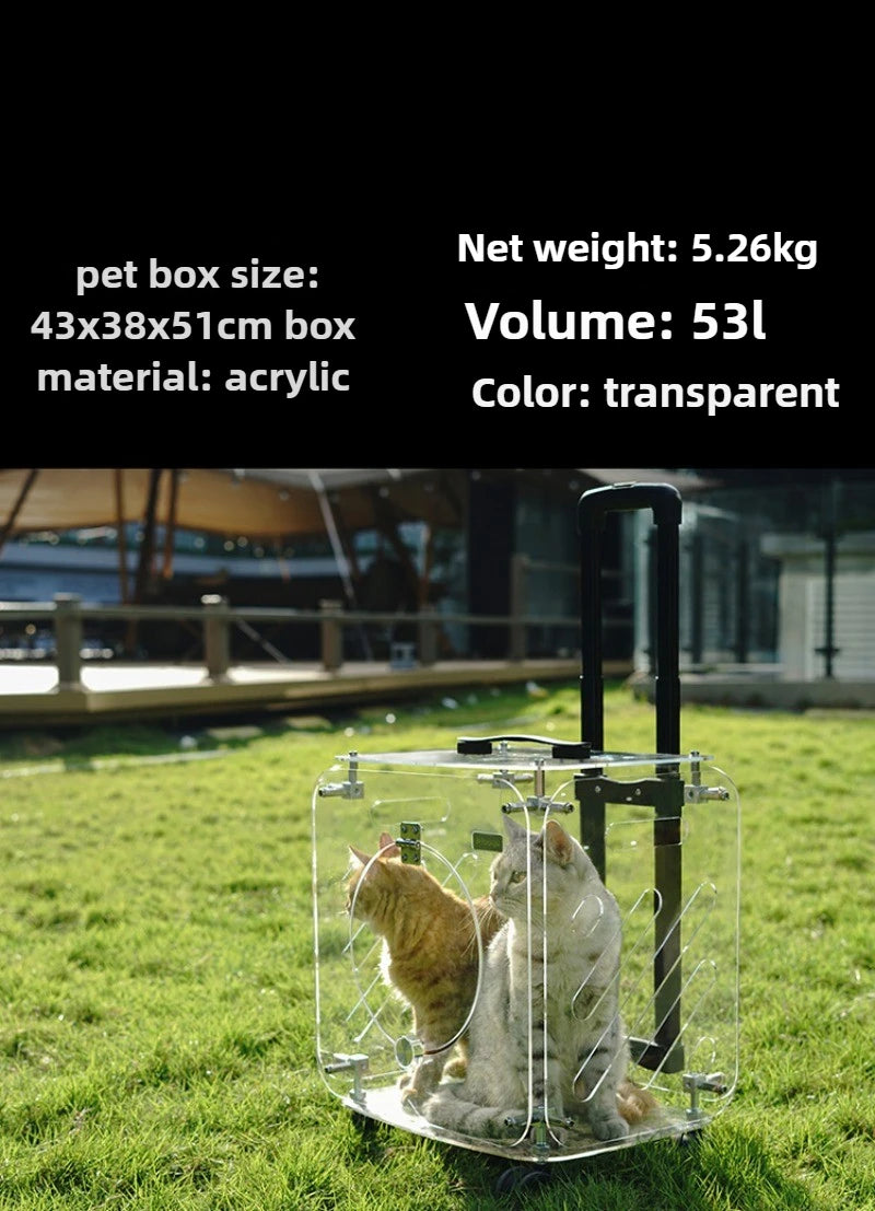 Portable Pet Outdoor Use Transparent Cat Bags Travel Box Large Space Breathable Mobile Easy Interaction Pet Carrying Supplies