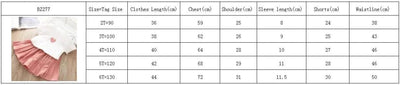 Clothes For Girls Summer Toddler Girls Clothes 2Pcs Outfits Kids Clothing For Girls Tracksuit Suit For Girls Children Clothing