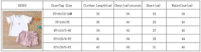 Clothes For Girls Summer Toddler Girls Clothes 2Pcs Outfits Kids Clothing For Girls Tracksuit Suit For Girls Children Clothing