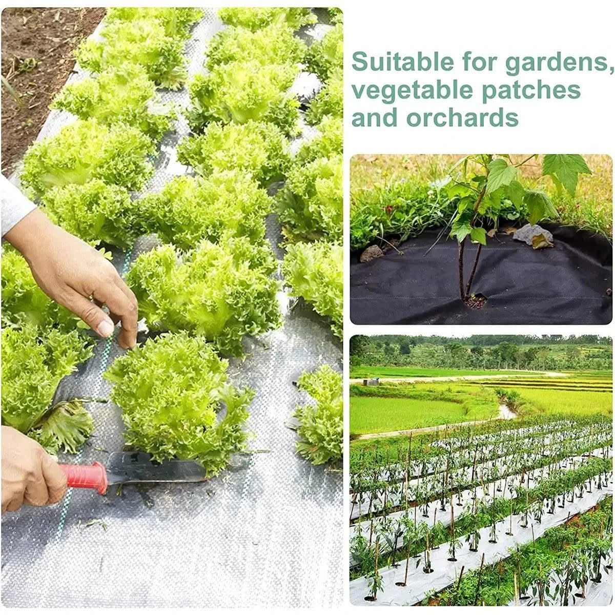Garden Landscape Fabric Weed Membrane Agricultural Anti Grass Cloth Farm Weed Barrier Mat Plastic PE Mulch Thicker Orchard Cover