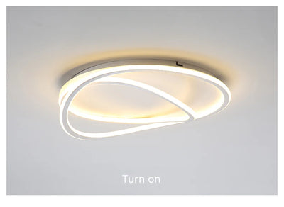 Modern LED Chandelier Lights  For Living Dining Room Bedroom Study Room Restaurant Balcony Home Decor indoor lighting fixture