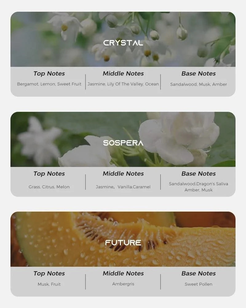 NAMSTE Luxury Perfume Oils 500ML Automatic Diffuser Essential Oils Home Air Freshener Electric Scent Diffuser Oil For Hotel Room