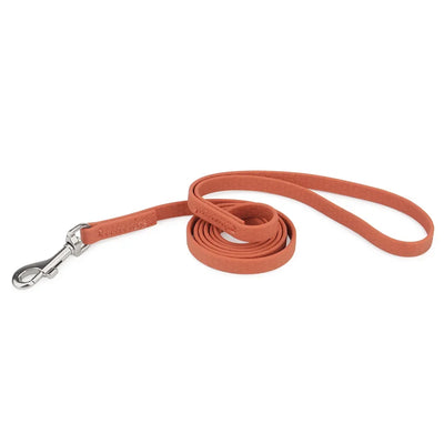 Cat Short Leash Small Dog Pet Leashes Anti-lost Guide Rope For Puppy Mini Dogs