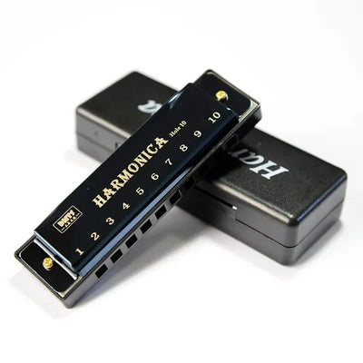 Harmonica Key of C 10 Hole Diatonic Harmonica C with Case for Beginner Students Kids Gift with Case