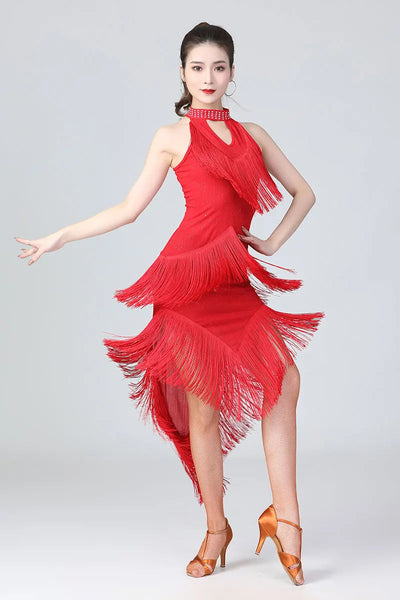 Lady Performance Dress Women Latin Dance Clothes Latin Dress Girls Tassel Latin Dance Dresses Dancer Clothing