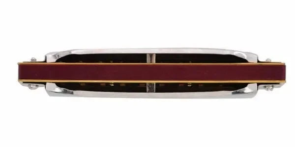 [12 Keys] Suzuki Diatonic Harmonica 1072 New Silver FolkMaster Gaita Standard 10 Hole Diatonic Harmonica Beginner Blues Harp