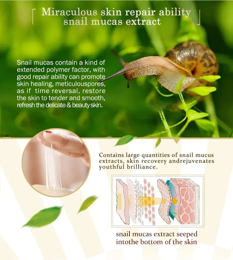 ARTISCARE Snail Face Cream + Peptide Eye Roller + Golden Eye Cream 3Pcs for Facial Moisturizing Serum Dark Circles Eye Care