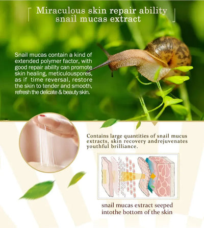 ARTISCARE Snail Face Cream + Peptide Eye Roller + Golden Eye Cream 3Pcs for Facial Moisturizing Serum Dark Circles Eye Care
