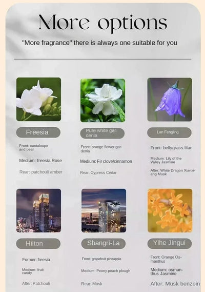 250ml/500ml Fragrance Oil For Home Perfumes Hotel Series Essential Oils For Aromatic Diffuser DIY Perfume