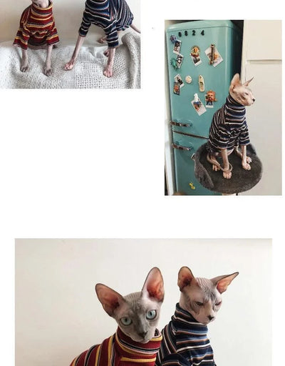 Cat Clothes for Sphinx Hairless Cat Clothes Striped Clothing Warm Knitted Shirt Pet Clothes Cat Supplier XS to XL