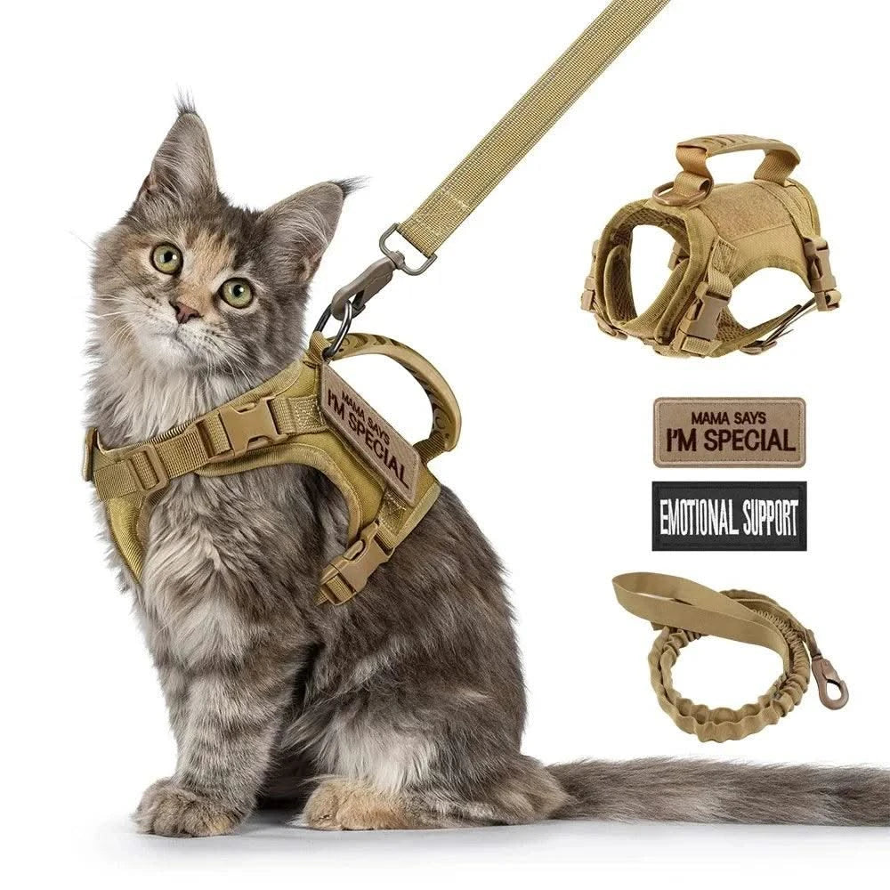 Harness for Cats Pet Products Kittens Goods Breast-band Accessories Pets Collar Things Collar Harness Leash Kitten Supplies