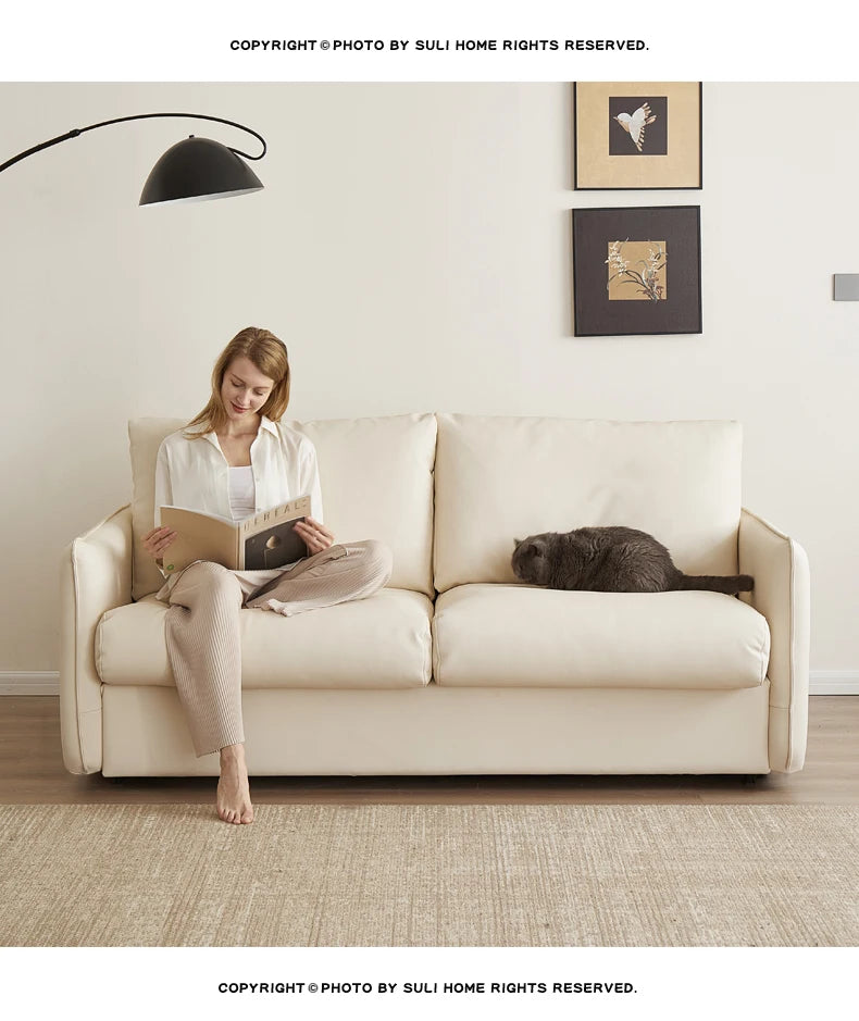 Longer Background Sofa Pillows European Modern Convertible Pull Out Sofa Bed Single Reading Muebles De Sala Home Furniture