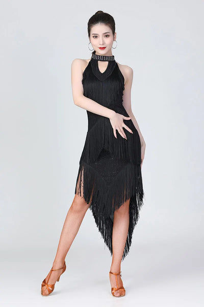 Lady Performance Dress Women Latin Dance Clothes Latin Dress Girls Tassel Latin Dance Dresses Dancer Clothing