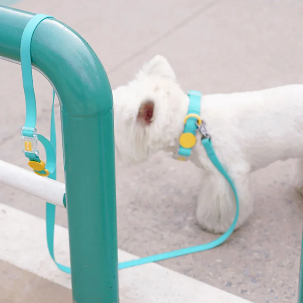 1.5m/2.1m Pet Leashes Cat Small Medium Dogs Leash Walking Guide Rope