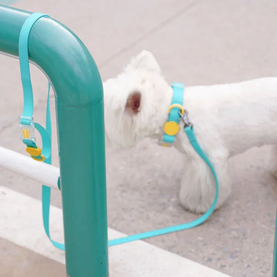 1.5m/2.1m Pet Leashes Cat Small Medium Dogs Leash Walking Guide Rope