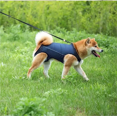 Pet Care Carrier Senior Elderly Dog Back Leg Barrier Walking Aid Disabled Pet Care Carrier