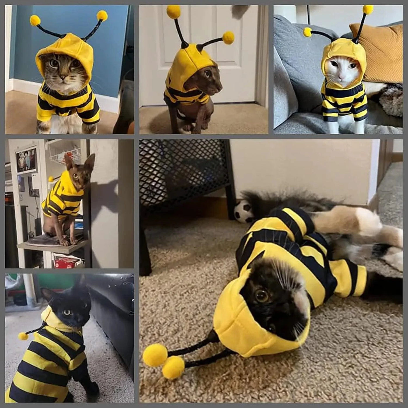 Funny Pet Cat Clothes Hooded Stripe Cat Hoodies for Cats Kitten, Easter Halloween Dress Up Party Outfit Bee Costumes for Cats