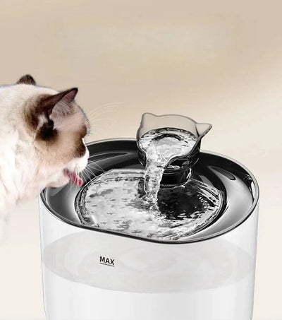 Pet water dispenser intelligent sensor cat water dispenser automatic circulation filtration water drinking  Australia Plug C004