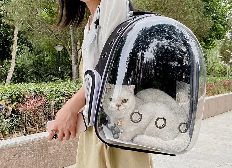 Cat Carrier, Pet Carrier, Breathable Pet Backpack for Cats and Dogs, Cat Carrier for Carrying Cats Outdoors