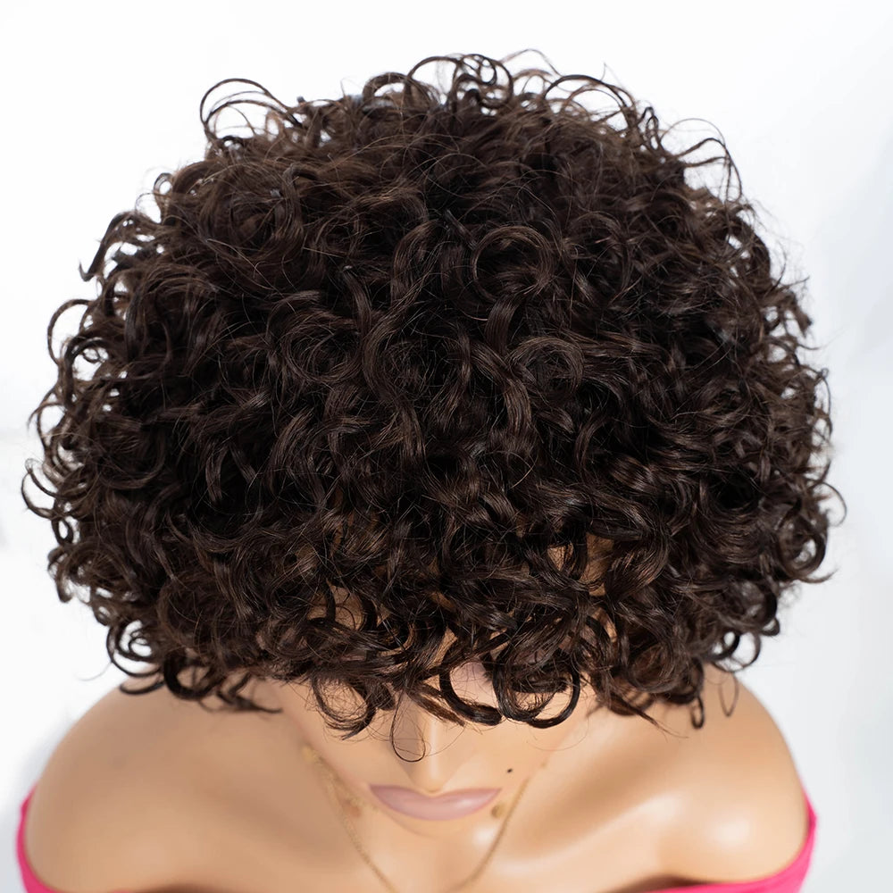 Short Curly Human Hair Wigs for Black Women 8 inch Short Curly Wigs for Black Women No Lace Front Human Hair Wigs (WIG P4/27)