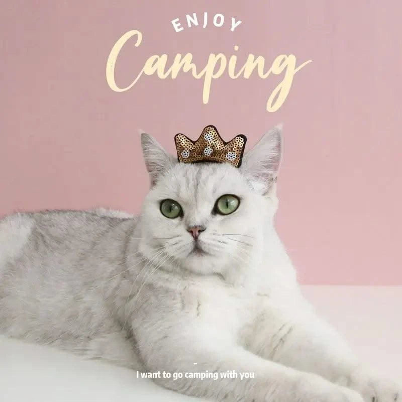 Cat Accessories Party Cat Headdress Wear Puppy Hairband Dog Dress Up Hat Pet Hair Accessories Bow Tie Dog Bowknot Pet Hair Hoop