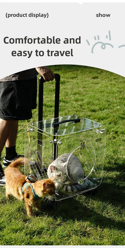 Portable Pet Outdoor Use Transparent Cat Bags Travel Box Large Space Breathable Mobile Easy Interaction Pet Carrying Supplies