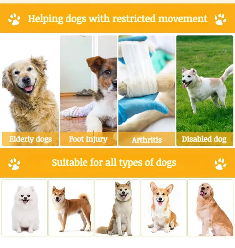 Pet Care Carrier Senior Elderly Dog Back Leg Barrier Walking Aid Disabled Pet Care Carrier