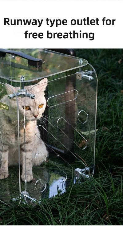 Portable Pet Outdoor Use Transparent Cat Bags Travel Box Large Space Breathable Mobile Easy Interaction Pet Carrying Supplies