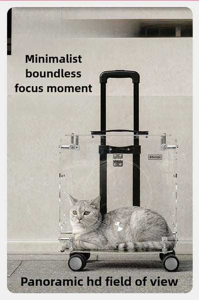 Portable Pet Outdoor Use Transparent Cat Bags Travel Box Large Space Breathable Mobile Easy Interaction Pet Carrying Supplies