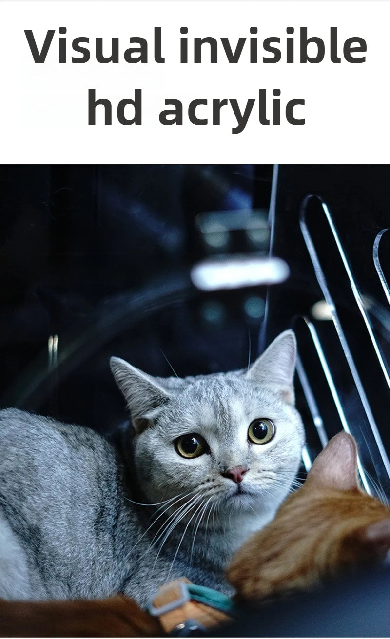 Portable Pet Outdoor Use Transparent Cat Bags Travel Box Large Space Breathable Mobile Easy Interaction Pet Carrying Supplies