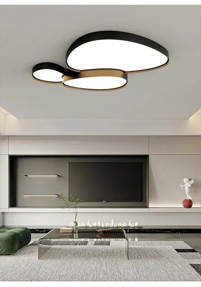 Modern LED Ceiling Lamp Simple Luxury Lighting for Living Room Bedroom Kitchen Cabinets Balcony Home Decor