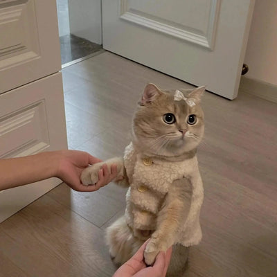 Cat Clothes Warm Lambhair Vest Soft Cozy Winter Warm Fleece Sweatshirt Puppy Kitten Jacket Coat Pet Sphynx Costume Sweater