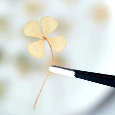 50pcs/lot,Real pressed clover petals,dried flower DIY adhesive drop phone case PARTY greeting card bookmark flower facial makeup