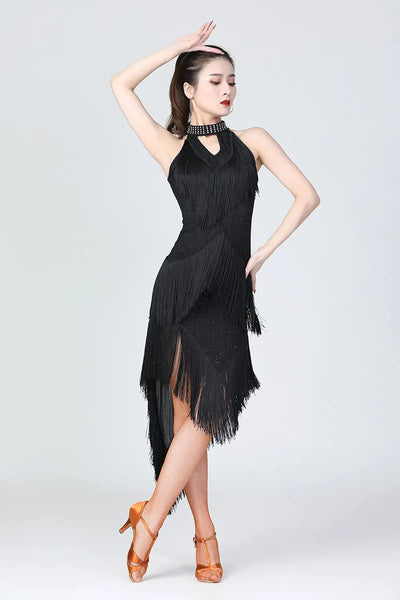 Lady Performance Dress Women Latin Dance Clothes Latin Dress Girls Tassel Latin Dance Dresses Dancer Clothing