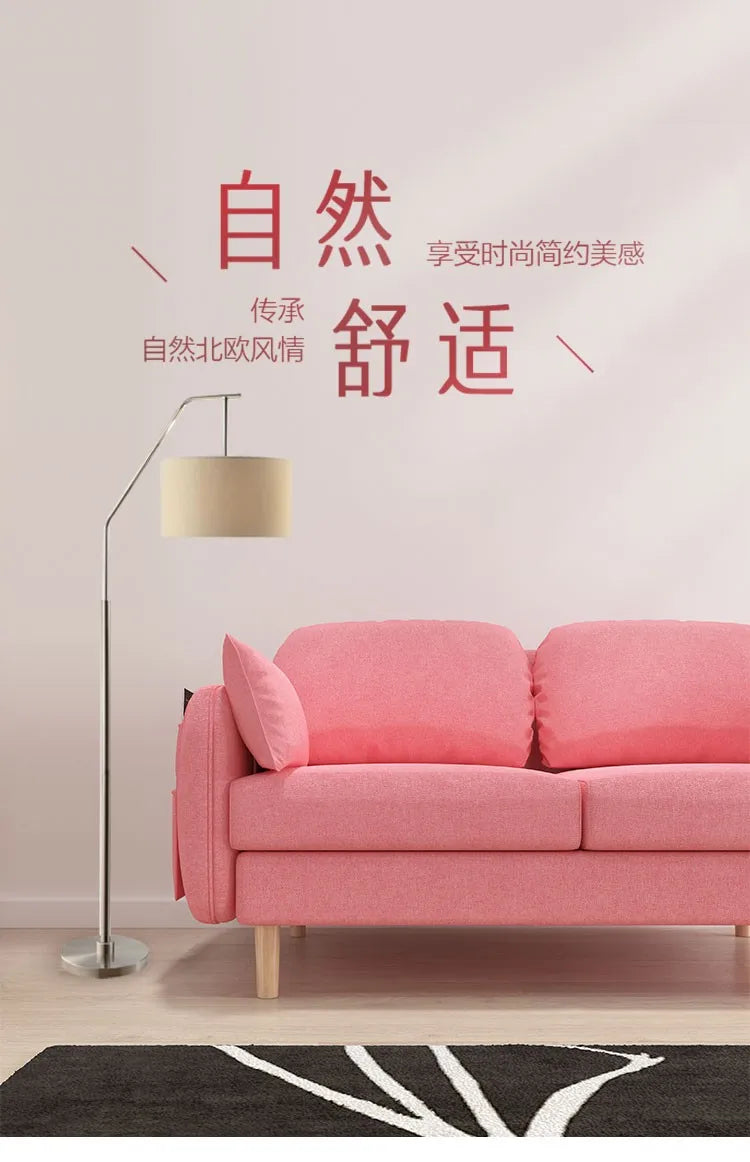 Comfortable Elegant Sofa Beds Modern Pink Multifunctional Classic Sofa Beds Double Storage Sofa Camas Living Room Furniture