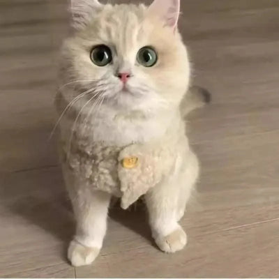 Cat Clothes Warm Lambhair Vest Soft Cozy Winter Warm Fleece Sweatshirt Puppy Kitten Jacket Coat Pet Sphynx Costume Sweater