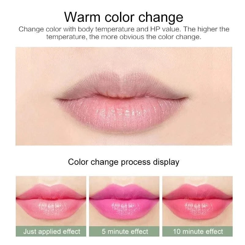 12pc/SET 3.5g Colour Changing Aloe Vera Tinted  Moisturizing Lip Balm