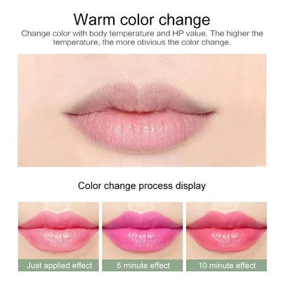 12pc/SET 3.5g Colour Changing Aloe Vera Tinted  Moisturizing Lip Balm