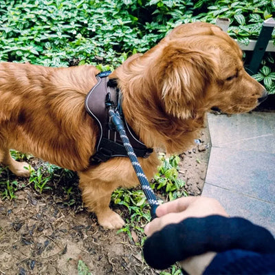 Comfortable Short Training Dog Leash Soft Heavy Duty Dog Lead Strong Durable Pet Leashes Dog