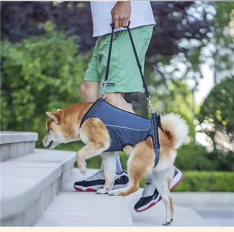 Pet Care Carrier Senior Elderly Dog Back Leg Barrier Walking Aid Disabled Pet Care Carrier