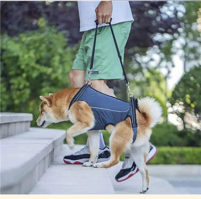Pet Care Carrier Senior Elderly Dog Back Leg Barrier Walking Aid Disabled Pet Care Carrier
