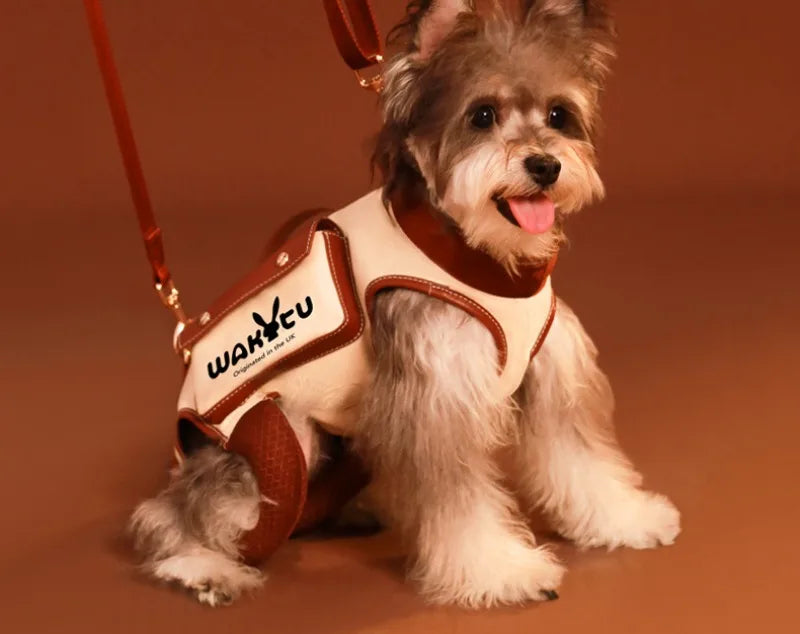 Dog Carriers Bags Portable Cat Backpack Pet Travel Portable Accessories Products Comfortable Travel Bag Cartoon Design Tractable