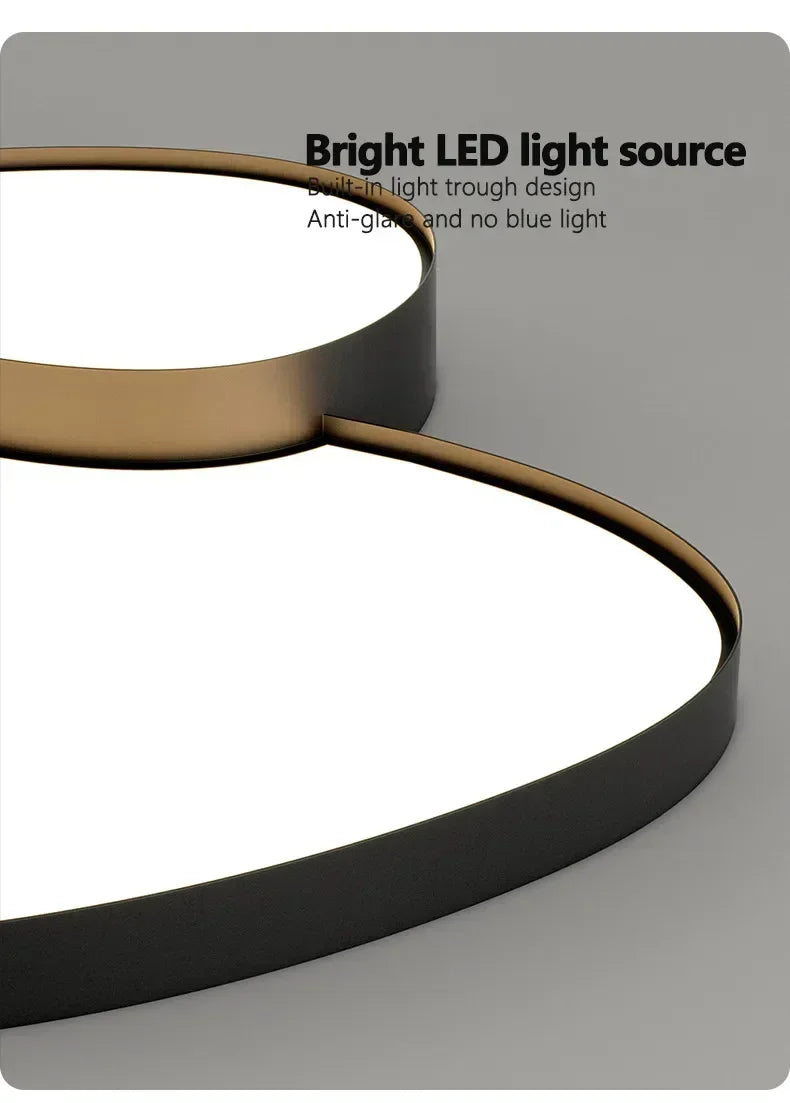 Modern LED Ceiling Lamp Simple Luxury Lighting for Living Room Bedroom Kitchen Cabinets Balcony Home Decor
