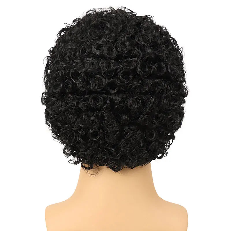 Short Curly Human Hair Wigs for Men Fahshion Short Pixie Cut Wigs  Curly Human Hair Male Wig Machine Made  Toupee   Man's Wig